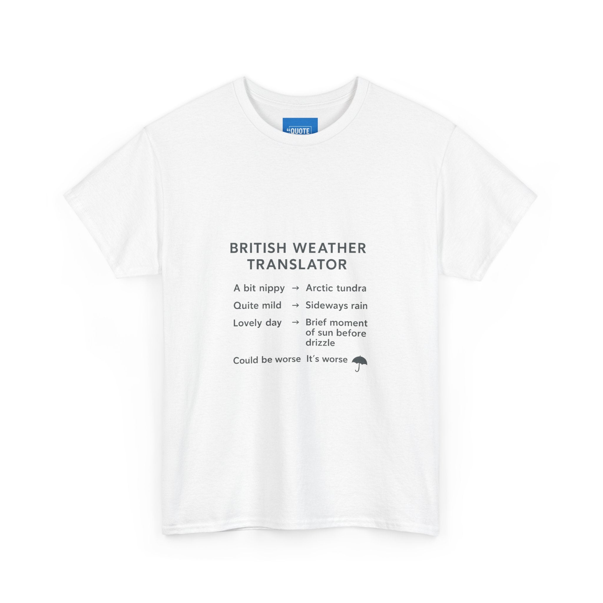 British Weather Problems Unisex Tee, Humorous British Tee, Heavy Cotton T-Shirt, Funny UK Tee